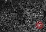 Standbild USA Soldaten United States USA, 1943, aus Sekunde 55 historischem Filmmaterial Videoclip 65675045493
