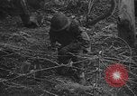 Standbild USA Soldaten United States USA, 1943, aus Sekunde 58 historischem Filmmaterial Videoclip 65675045493