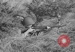 Immagine di Soldati statunitensi United States USA, 1943, secondo 13 filmato di repertorio 65675045494