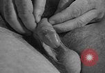 Image of United States soldiers United States USA, 1941, second 27 stock footage video 65675045496