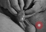 Image of United States soldiers United States USA, 1941, second 33 stock footage video 65675045496