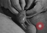 Image of United States soldiers United States USA, 1941, second 35 stock footage video 65675045496