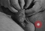 Image of United States soldiers United States USA, 1941, second 36 stock footage video 65675045496
