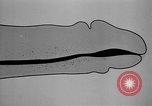 Immagine di Soldati statunitensi United States USA, 1941, secondo 36 filmato di repertorio 65675045497