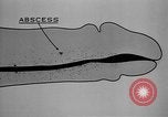 Immagine di Soldati statunitensi United States USA, 1941, secondo 37 filmato di repertorio 65675045497