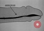 Immagine di Soldati statunitensi United States USA, 1941, secondo 38 filmato di repertorio 65675045497