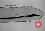 Immagine di Soldati statunitensi United States USA, 1941, secondo 40 filmato di repertorio 65675045497