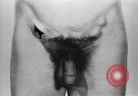 Immagine di Soldati statunitensi United States USA, 1941, secondo 43 filmato di repertorio 65675045498