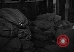 Image of Women Army Corps sort mail United Kingdom, 1945, second 5 stock footage video 65675045502