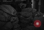Image of Women Army Corps sort mail United Kingdom, 1945, second 11 stock footage video 65675045502