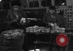 Image of Women Army Corps sort mail United Kingdom, 1945, second 38 stock footage video 65675045502