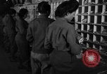 Image of Women Army Corps sort mail United Kingdom, 1945, second 58 stock footage video 65675045502