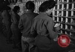 Image of Women Army Corps sort mail United Kingdom, 1945, second 59 stock footage video 65675045502
