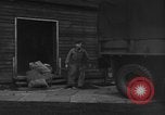 Image of White soldiers United Kingdom, 1945, second 57 stock footage video 65675045503