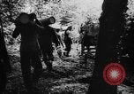 Immagine di I soldati tedeschi Caen Francia, 1944, secondo 16 filmato di repertorio 65675045505