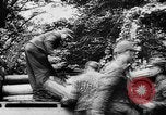 Immagine di I soldati tedeschi Caen Francia, 1944, secondo 24 filmato di repertorio 65675045505