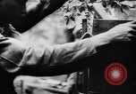 Immagine di I soldati tedeschi Caen Francia, 1944, secondo 28 filmato di repertorio 65675045505