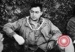 Immagine di Noi di prigionieri di guerra Francia, 1944, secondo 20 filmato di repertorio 65675045507