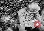 Immagine di Noi di prigionieri di guerra Francia, 1944, secondo 24 filmato di repertorio 65675045507