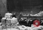 Image Berlin pendant les bombardements alliés Berlin Allemagne, 1943, de la seconde 62 séquences d'archives historiques vidéo 65675045510