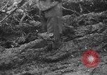 Image des soldats allemands la Russie, 1943, de la seconde 41 séquences d'archives historiques vidéo 65675045516