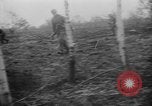 Image des soldats allemands la Russie, 1943, de la seconde 18 séquences d'archives historiques vidéo 65675045517