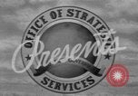 Image of John T Whitaker Sicily Italy, 1944, second 13 stock footage video 65675045521