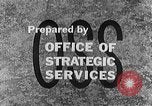 Image of German labor force Germany, 1943, second 11 stock footage video 65675045522