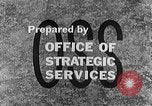 Image of German labor force Germany, 1943, second 12 stock footage video 65675045522