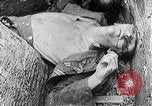 Image of German labor force Germany, 1943, second 22 stock footage video 65675045523