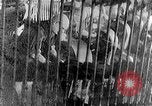 Image of German labor force Germany, 1943, second 27 stock footage video 65675045523