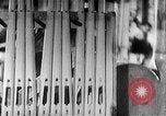 Image of German labor force Germany, 1943, second 32 stock footage video 65675045523