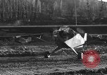 Image of dropping leaflets Italy, 1945, second 14 stock footage video 65675045530