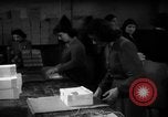 Image of propaganda leaflet bundles World War 2 Italy, 1945, second 14 stock footage video 65675045532