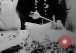 Image Les Cadets de la marine allemande Allemagne, 1943, de la seconde 54 séquences d'archives historiques vidéo 65675045541