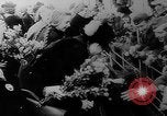 Immagine di Italian nave ospedale Gradisca Stettino Germania, 1943, secondo 34 filmato di repertorio 65675045543