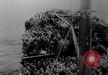 Immagine di Italian nave ospedale Gradisca Stettino Germania, 1943, secondo 58 filmato di repertorio 65675045543
