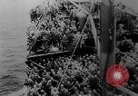 Immagine di Italian nave ospedale Gradisca Stettino Germania, 1943, secondo 59 filmato di repertorio 65675045543
