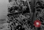 Immagine di Italian nave ospedale Gradisca Stettino Germania, 1943, secondo 60 filmato di repertorio 65675045543