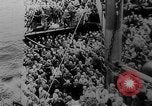 Immagine di Italian nave ospedale Gradisca Stettino Germania, 1943, secondo 61 filmato di repertorio 65675045543