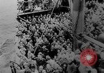 Immagine di Italian nave ospedale Gradisca Stettino Germania, 1943, secondo 62 filmato di repertorio 65675045543