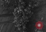 Immagine di B-24 aeromobile Europa, 1944, secondo 28 filmato di repertorio 65675045546