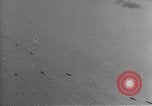 Immagine di B-24 aeromobile Europa, 1944, secondo 14 filmato di repertorio 65675045547