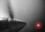Standbild B-24 Flugzeuge Europa, 1944, aus Sekunde 56 historischem Filmmaterial Videoclip 65675045549