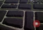 Image of remains in Berlin city Berlin Germany, 1961, second 38 stock footage video 65675045555