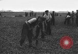 Image of German workers Berlin Germany, 1948, second 21 stock footage video 65675045576