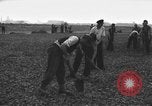 Image of German workers Berlin Germany, 1948, second 22 stock footage video 65675045576