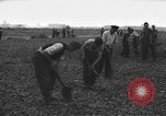 Image of German workers Berlin Germany, 1948, second 23 stock footage video 65675045576