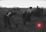 Image of German workers Berlin Germany, 1948, second 24 stock footage video 65675045576