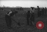 Image of German workers Berlin Germany, 1948, second 25 stock footage video 65675045576